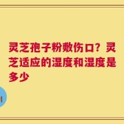 灵芝孢子粉敷伤口？灵芝适应的湿度和湿度是多少