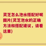 灵芝怎么泡水搭配好呢图片(灵芝泡水的正确方法和搭配建议，请看这里)