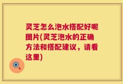 灵芝怎么泡水搭配好呢图片(灵芝泡水的正确方法和搭配建议，请看这里)