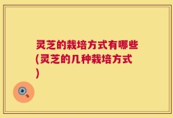 灵芝的栽培方式有哪些(灵芝的几种栽培方式)
