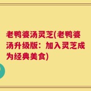 老鸭婆汤灵芝(老鸭婆汤升级版：加入灵芝成为经典美食)