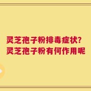 灵芝孢子粉排毒症状？灵芝孢子粉有何作用呢