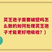 灵芝孢子需要破壁吗怎么做的如何处理灵芝孢子才能更好地吸收？)