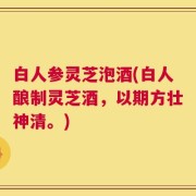 白人参灵芝泡酒(白人酿制灵芝酒，以期方壮神清。)