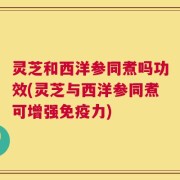 灵芝和西洋参同煮吗功效(灵芝与西洋参同煮可增强免疫力)