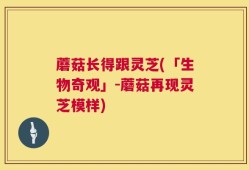 蘑菇长得跟灵芝(「生物奇观」-蘑菇再现灵芝模样)
