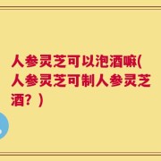 人参灵芝可以泡酒嘛(人参灵芝可制人参灵芝酒？)