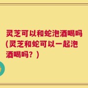 灵芝可以和蛇泡酒喝吗(灵芝和蛇可以一起泡酒喝吗？)
