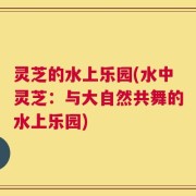 灵芝的水上乐园(水中灵芝：与大自然共舞的水上乐园)