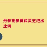 丹参党参黄芪灵芝泡水比例