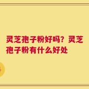 灵芝孢子粉好吗？灵芝孢子粉有什么好处