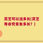 灵芝可以活多长(灵芝寿命究竟有多长？)