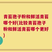 青苔孢子粉和鲜活青苔哪个好(比较青苔孢子粉和鲜活青苔哪个更好)