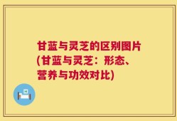 甘蓝与灵芝的区别图片(甘蓝与灵芝：形态、营养与功效对比)