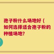 孢子粉什么场地好 (如何选择适合孢子粉的种植场地？