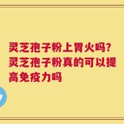 灵芝孢子粉上胃火吗？灵芝孢子粉真的可以提高免疫力吗