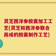 灵芝西洋参胶囊加工工艺(灵芝和西洋参联合而成的胶囊制作工艺)