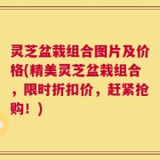 灵芝盆栽组合图片及价格(精美灵芝盆栽组合，限时折扣价，赶紧抢购！)