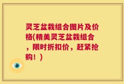 灵芝盆栽组合图片及价格(精美灵芝盆栽组合，限时折扣价，赶紧抢购！)