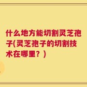 什么地方能切割灵芝孢子(灵芝孢子的切割技术在哪里？)