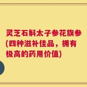 灵芝石斛太子参花旗参(四种滋补佳品，拥有极高的药用价值)