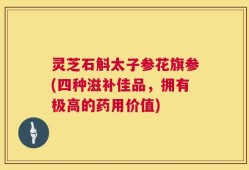 灵芝石斛太子参花旗参(四种滋补佳品，拥有极高的药用价值)