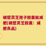 破壁灵芝孢子胶囊能减肥(破壁灵芝胶囊：减肥良品)