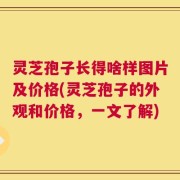 灵芝孢子长得啥样图片及价格(灵芝孢子的外观和价格，一文了解)