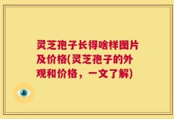 灵芝孢子长得啥样图片及价格(灵芝孢子的外观和价格，一文了解)