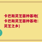 卡巴斯灵芝菌种基地(卡巴斯灵芝菌种基地：灵芝之乡)