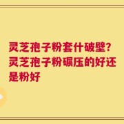 灵芝孢子粉套什破壁？灵芝孢子粉碾压的好还是粉好