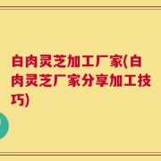 白肉灵芝加工厂家(白肉灵芝厂家分享加工技巧)