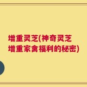 增重灵芝(神奇灵芝 增重家禽福利的秘密)