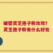 破壁灵芝孢子粉攻效？灵芝孢子粉有什么好处