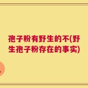 孢子粉有野生的不(野生孢子粉存在的事实)