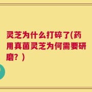灵芝为什么打碎了(药用真菌灵芝为何需要研磨？)