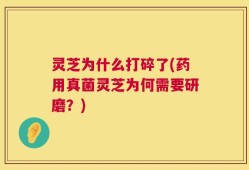 灵芝为什么打碎了(药用真菌灵芝为何需要研磨？)