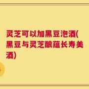 灵芝可以加黑豆泡酒(黑豆与灵芝酿蕴长寿美酒)