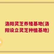 洛阳灵芝养殖基地(洛阳设立灵芝种植基地)