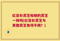 红豆衫灵芝和别的灵芝一样吗(红豆衫灵芝与其他灵芝有何不同？)