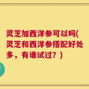灵芝加西洋参可以吗(灵芝和西洋参搭配好处多，有谁试过？)