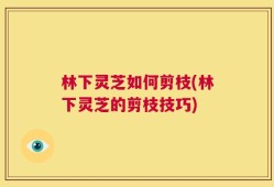 林下灵芝如何剪枝(林下灵芝的剪枝技巧)