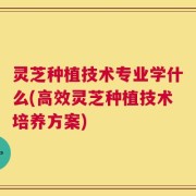 灵芝种植技术专业学什么(高效灵芝种植技术培养方案)
