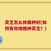 灵芝怎么样裁种好(如何有效地裁种灵芝？)