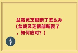 盆栽灵芝根断了怎么办(盆栽灵芝根部断裂了，如何应对？)