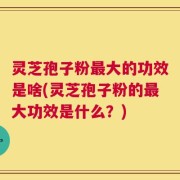 灵芝孢子粉最大的功效是啥(灵芝孢子粉的最大功效是什么？)