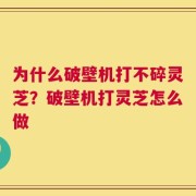 为什么破壁机打不碎灵芝？破壁机打灵芝怎么做