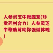 人参灵芝牛鞭鹿茸(珍贵药材合力！人参灵芝牛鞭鹿茸助你强健体魄)