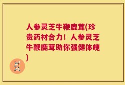 人参灵芝牛鞭鹿茸(珍贵药材合力！人参灵芝牛鞭鹿茸助你强健体魄)