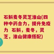 石斛麦冬灵芝淮山(四种中药合力，提升免疫力  石斛，麦冬，灵芝，淮山健康搭配)